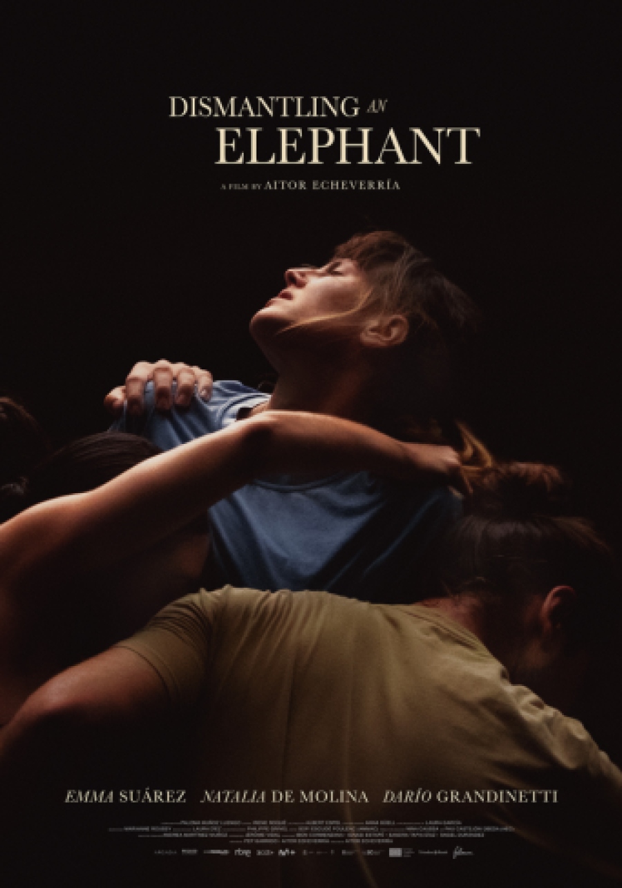 DISMANTLING AN ELEPHANT